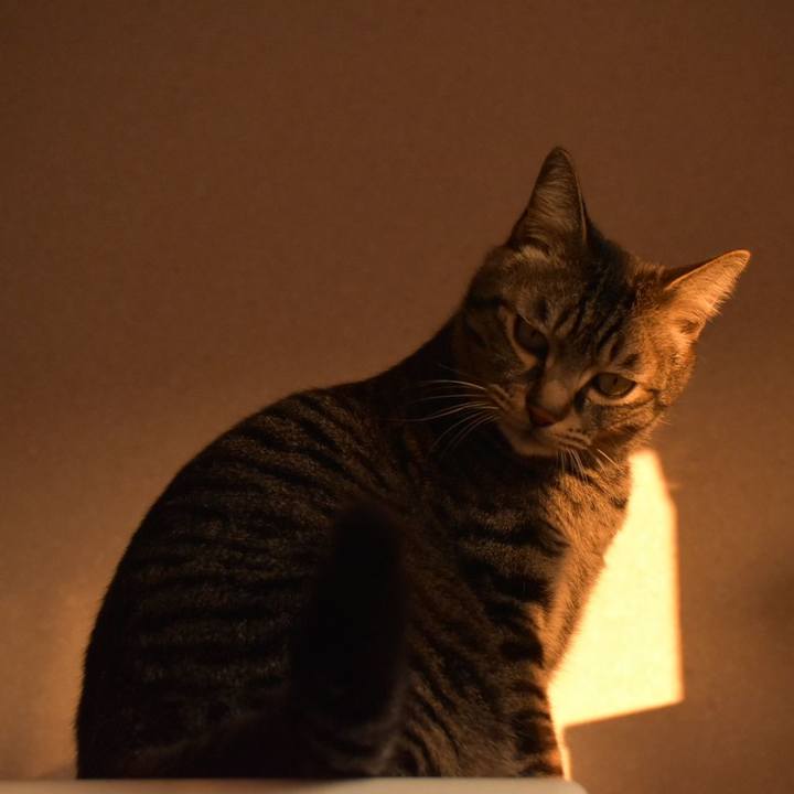 7b9630b7 6b9f 4e0f bf26 b4f7f6b71a8c 1548515068868