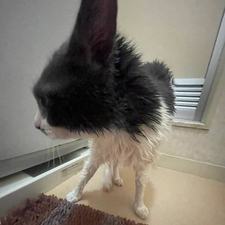 7b96912a 32a1 4c7d b9cf 2f138ace526b 1690084612472