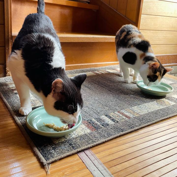 7b96cdf4 4807 49b6 9df7 033b4b9610bd 1654660656962