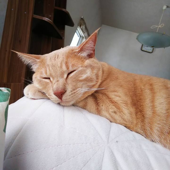 7b97067c 63d9 4e05 a479 0aa949047a80 1576367801475