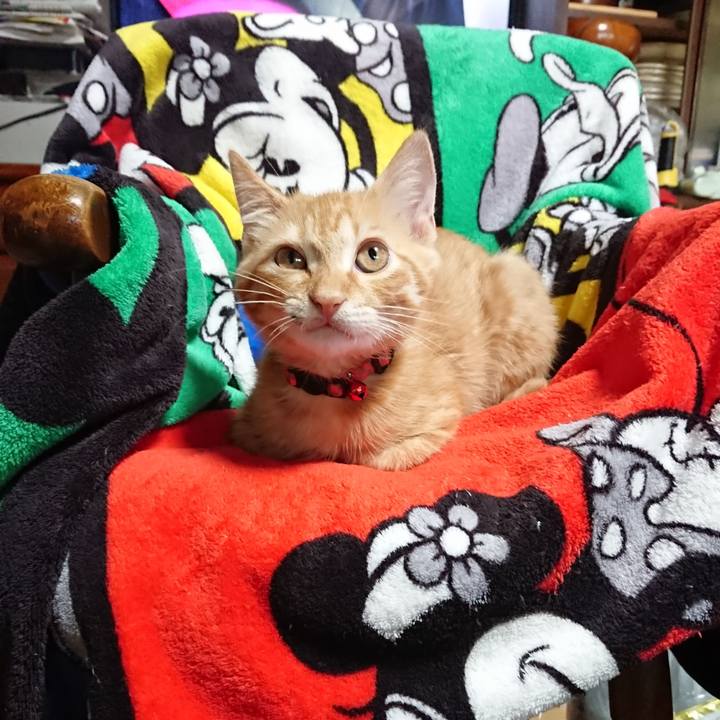 7b9708cd 368e 4d28 9238 d267a9d0e4aa 1632376959323