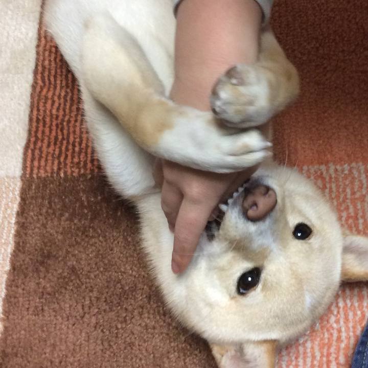 7b973e28 f5c8 46ed 82e5 3a0c4201e7da 1513774749485