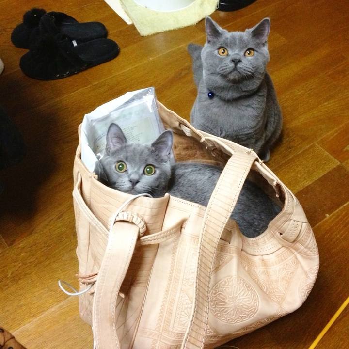 7b97a0be 708e 4b96 a014 02949fda2d57 1773480660146