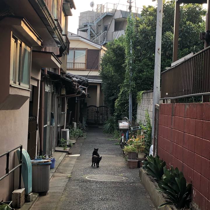 7b97afc9 1e0b 44ba b6b1 3955151bde97 1564850861821