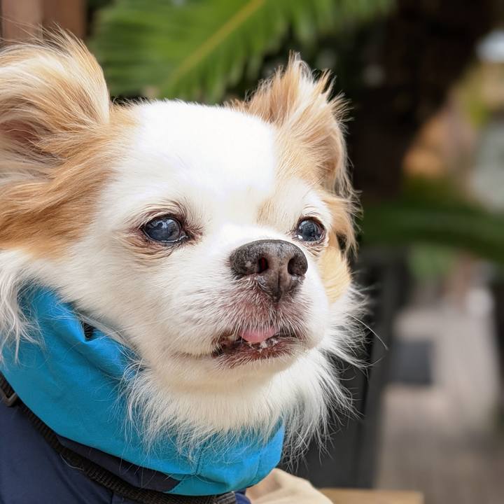 7b97cda9 3979 4c85 ab0b b30daefa14d4 1645239840795