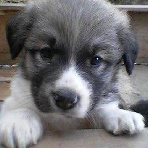 7b97d531 921c 4e60 9b6a e5f0c35992cb 1608682948471