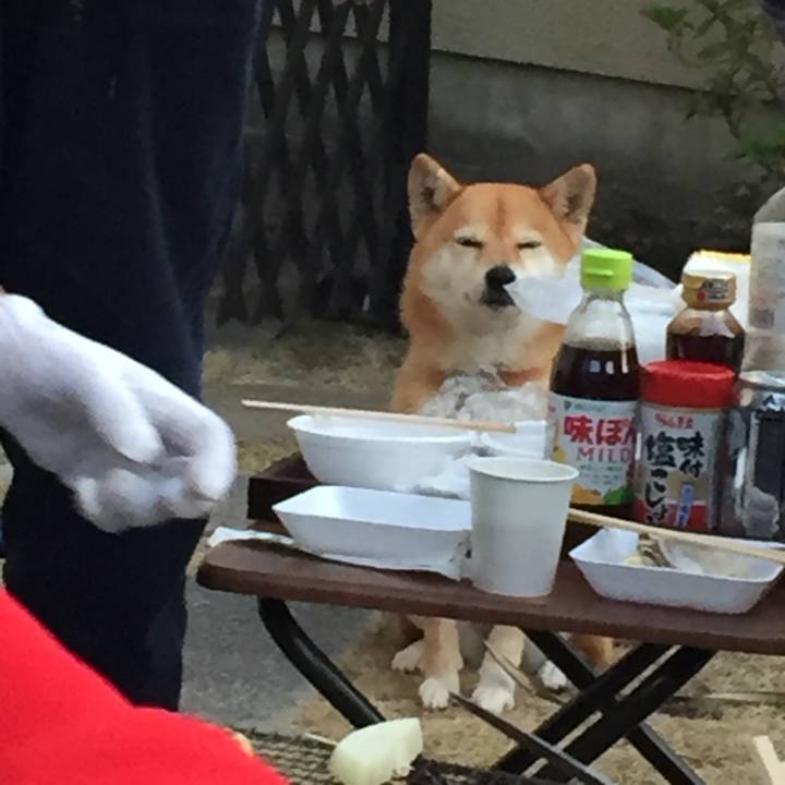 7b9805c6 063a 4c5f 87c8 208ee29a3a48 1520167258925