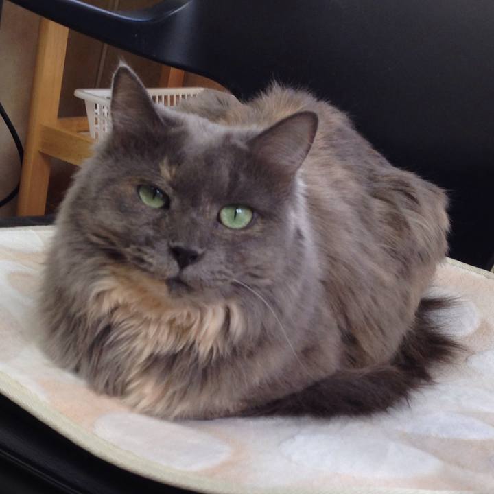 7b98940b 51c0 4f53 ac51 bbc3e3790470 1519865462782