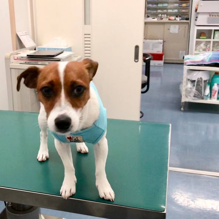 7b98ee65 d536 4d70 9e89 808816bcff2d 1531197800070