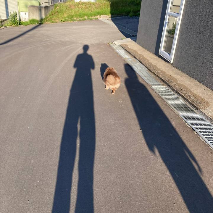 7b992d28 13af 4cc0 ad4f 6090a54a8440 1687214623132