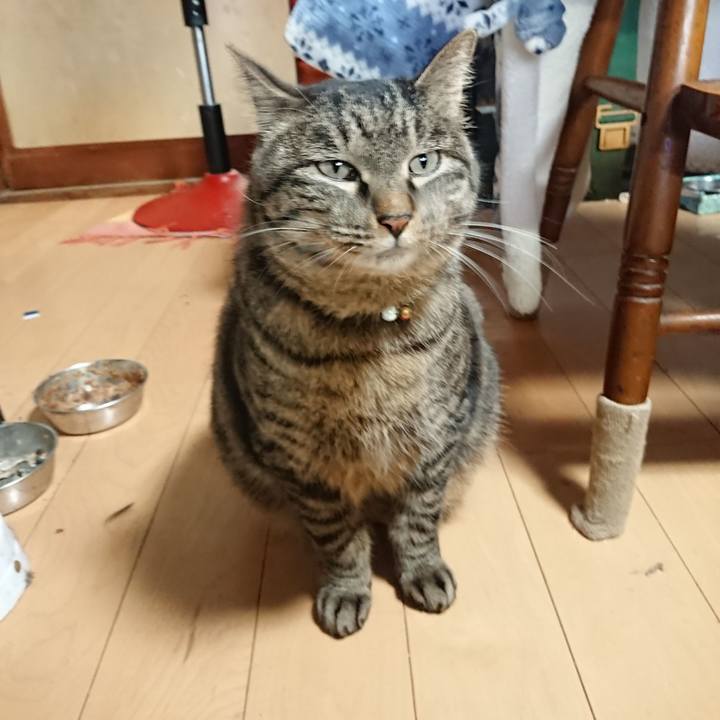 7b99384a 6965 4438 8ace 78f7e75408b6 1644366769589