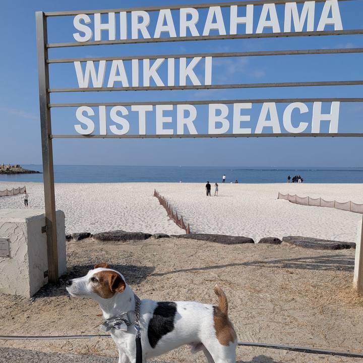 7b99625a 8681 4979 8888 0a94c2b1f7a6 1768916343733