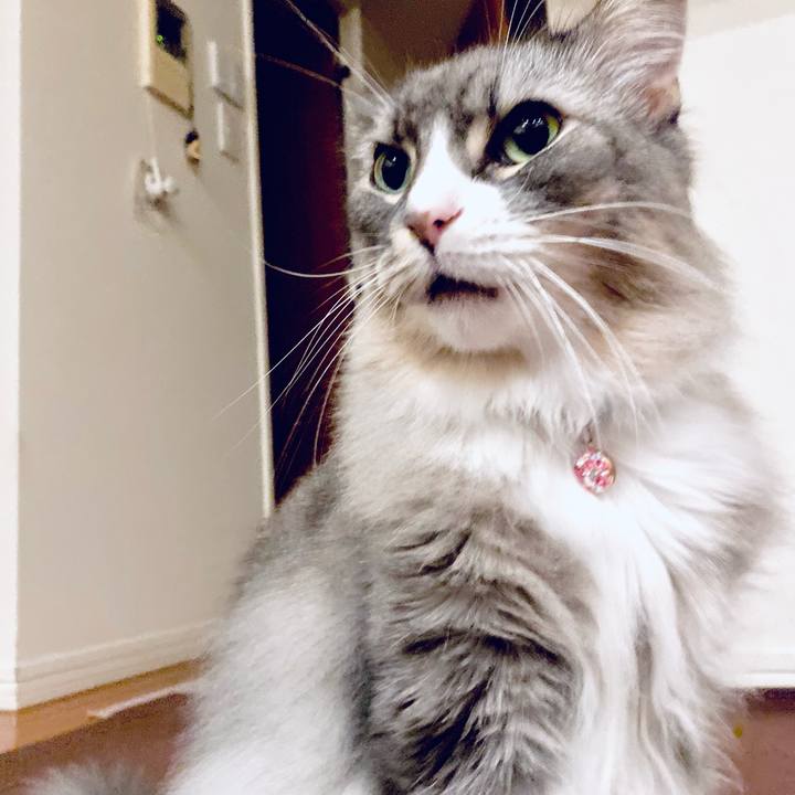 7b9965a1 6a10 44e6 bd20 117ee085c8d6 1757430974355