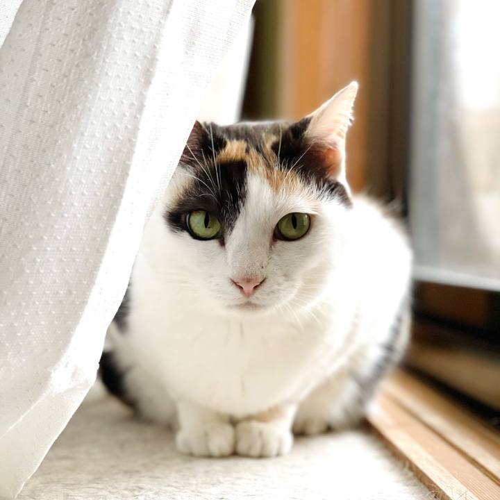 7b9995f0 c58f 4a29 890f 5af57cfabb96 1628039320794