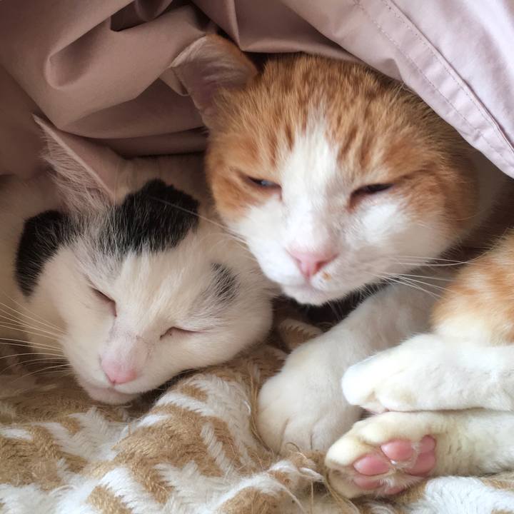 7b99ab3f 0353 4837 9ba8 112860eae9ed 1614059936390