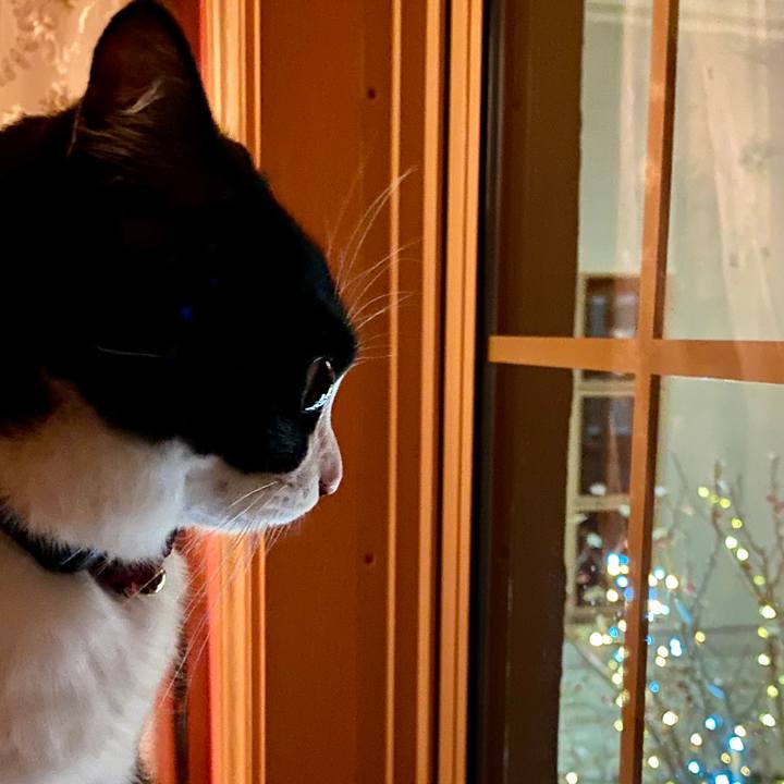 7b99b47b 8939 41b3 bcf0 618496e6c1a3 1577141854044