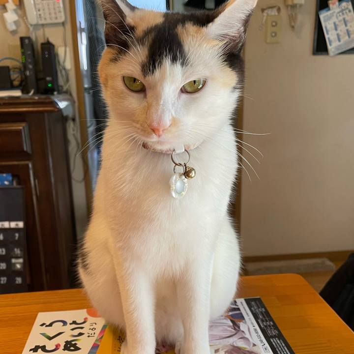 7b99cc53 d70b 48bf 9636 76f20f7df213 1698022047131