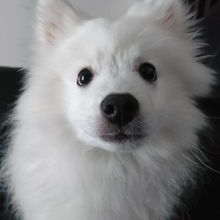 7b99dbf3 59dc 404b b552 278cdddbc175 1549948924545