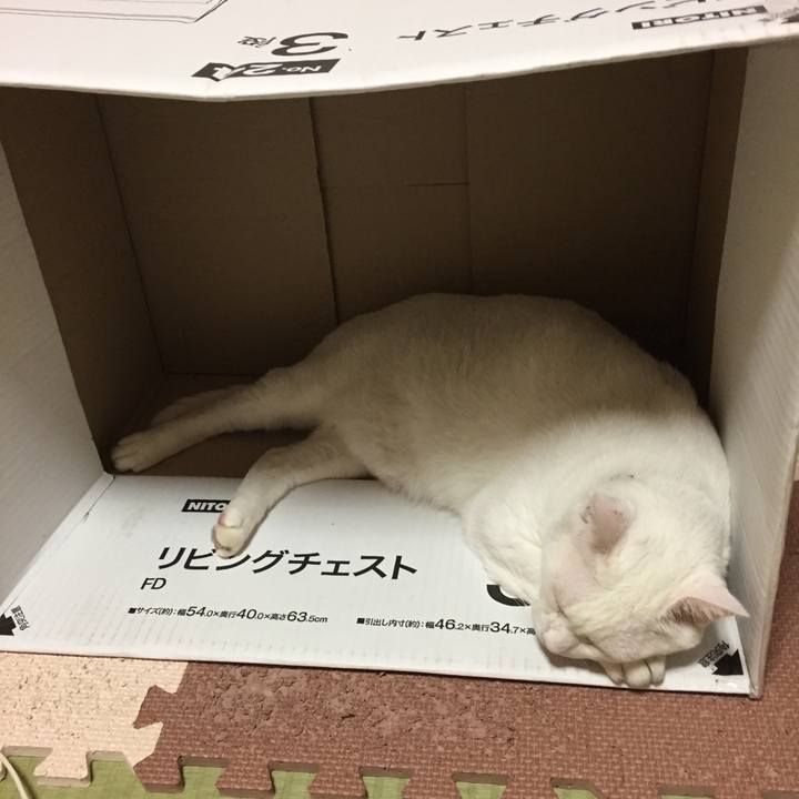 7b9a34f0 1d70 4615 bbe2 9231420b6366 1534692396208