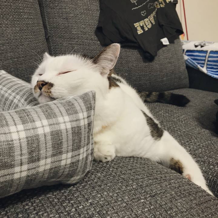 7b9a4699 14d9 4673 a114 bd9c0f34d0a6 1536736280816