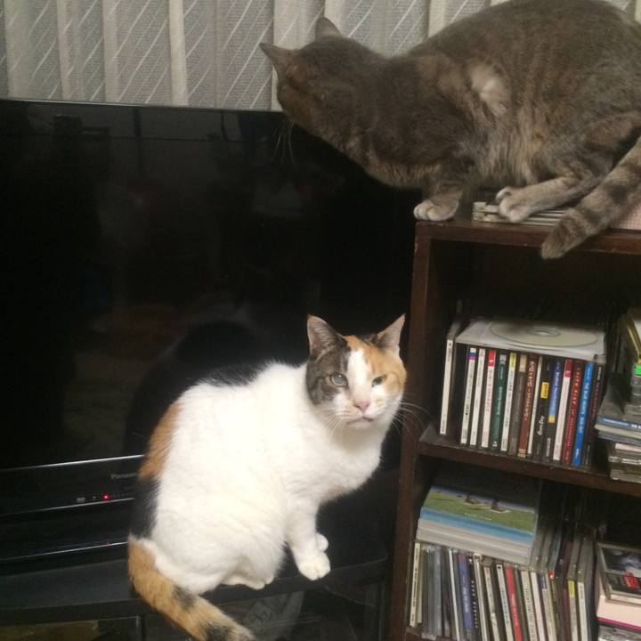 7b9a5e56 a754 472b 897b 4e6074f5521b 1511792272841