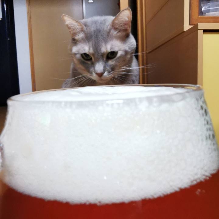 7b9a776a 307f 4106 a038 bf573f46389f 1673757092300