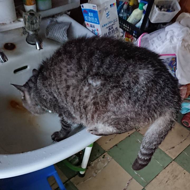 7b9ad8d2 4817 4a2d 8790 bcfc1f804e8d 1572210875339