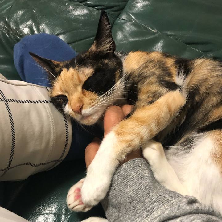 7b9ae5cb e00a 4d5f a1f2 af045b7b7f2e 1555935860993