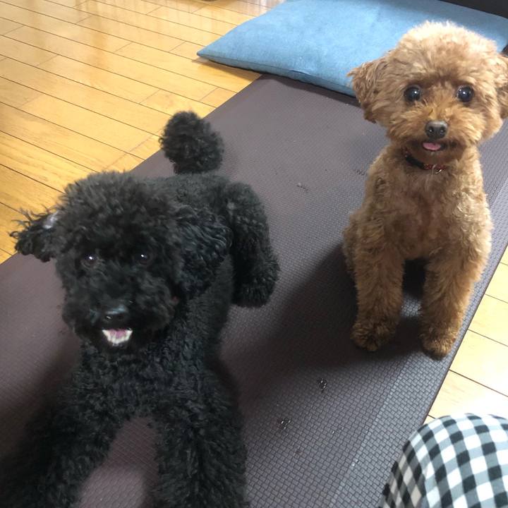 7b9aead5 1518 49bc afe1 36c2039c78bd 1569277704260