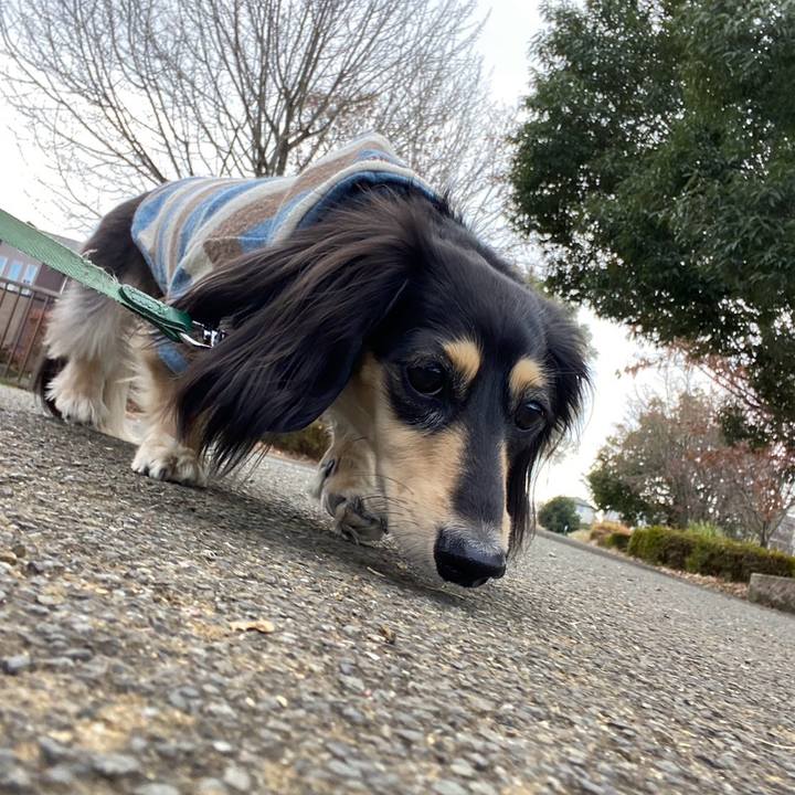 7b9afe60 e040 4e7c 9cf5 92ab6e9fa456 1735953900432