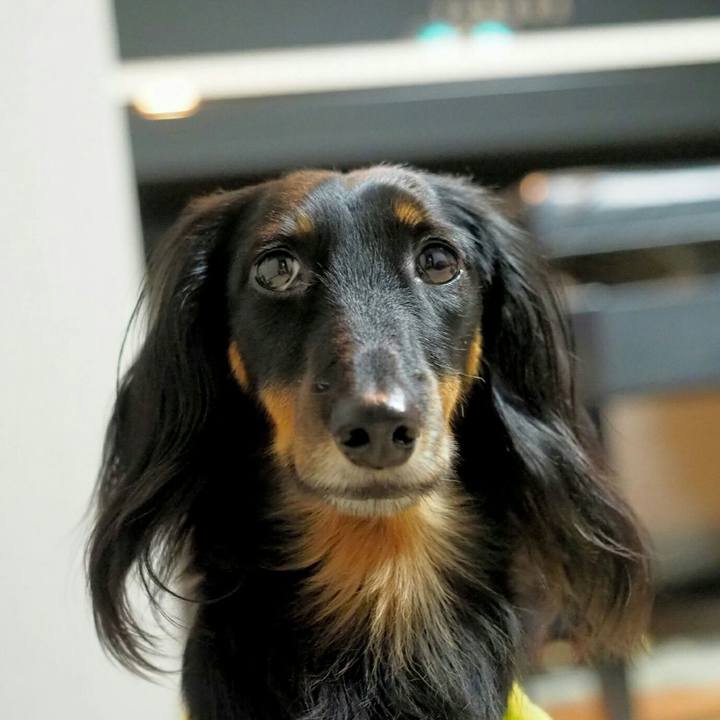 7b9b03ee 5eef 4e7c b158 3cb49288732c 1577705537100