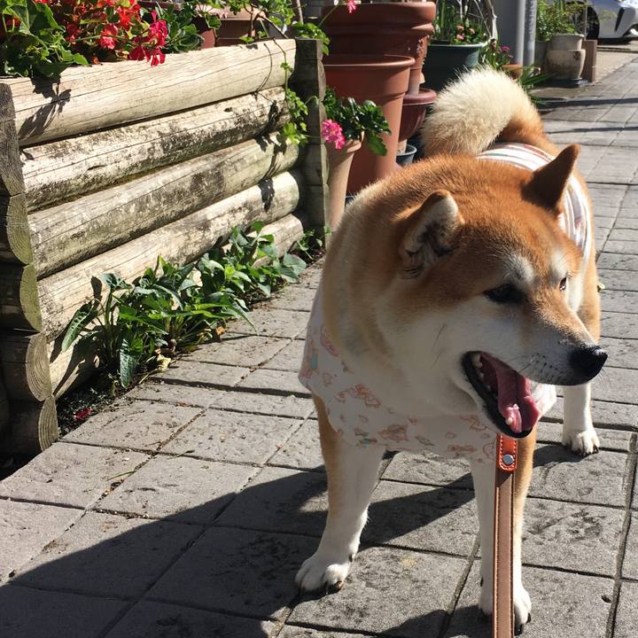 7b9b1b5f 9198 4a85 b2da 16aaec97759d 1570579596590