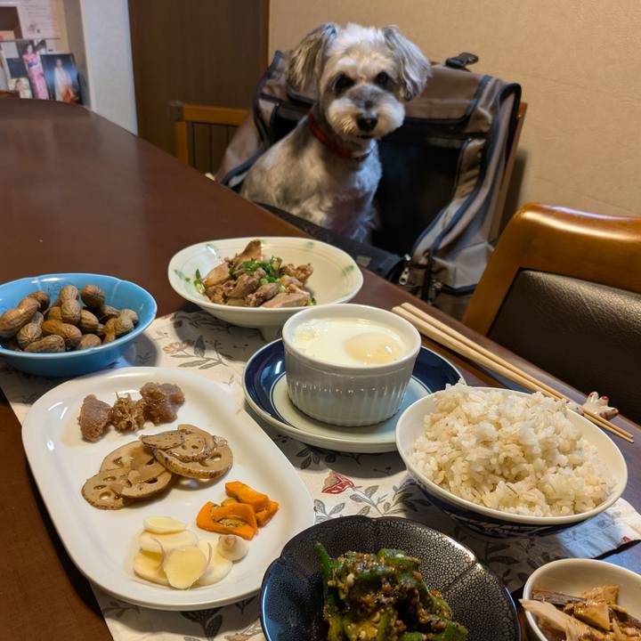 7b9b2f6b 61ab 4904 8e50 1626d1d9d4ad 1759844063154