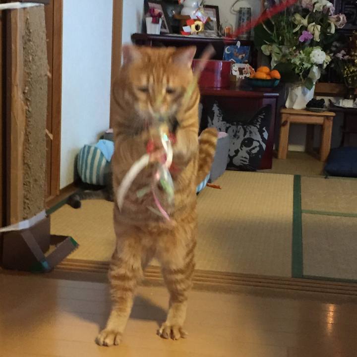 7b9b9e8a c05f 47c3 a001 67df386a0744 1546514410284