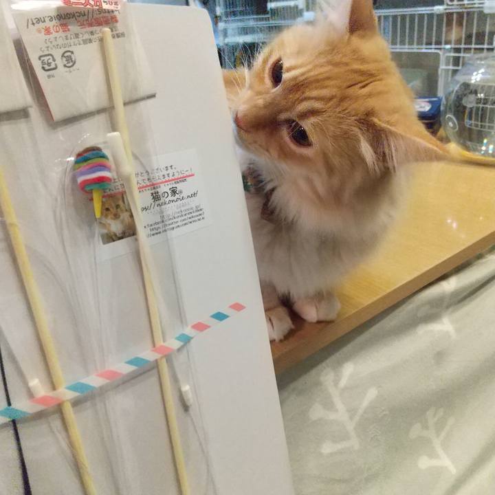 7b9ba0f8 3fda 4967 94c6 04d76c6c956c 1645879800133