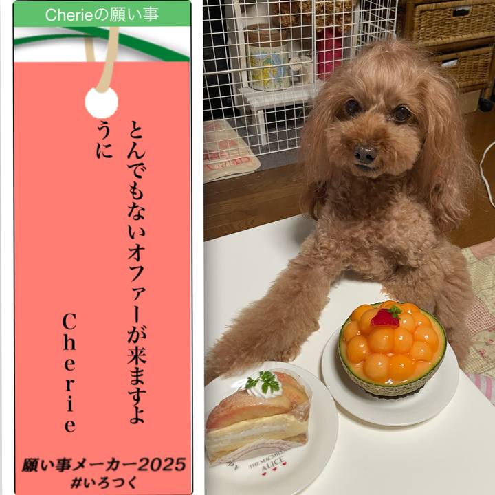 7b9bb595 0bcd 40e3 8f8c ad0ad6edf490 1751891433762