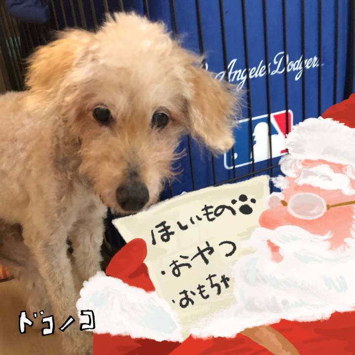 7b9bbcd8 1ffc 41d5 a4d7 5e7e224f03dd 1729343527746