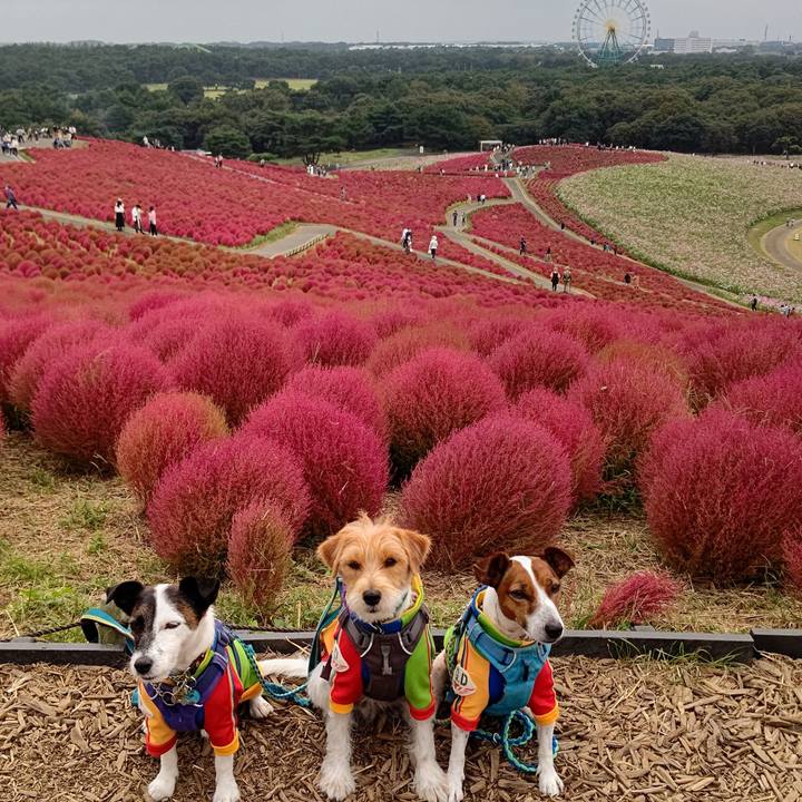 7b9bdd75 588b 4279 85ab 463c13d9bf5e 1665995497573