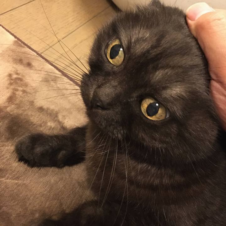 7b9bf457 4167 44c4 aeef ecb294a83f98 1583424840220