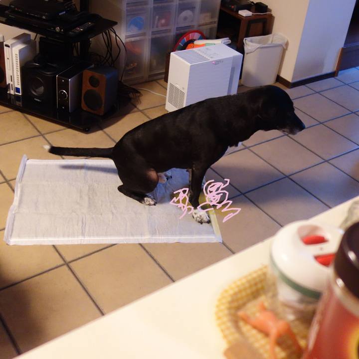 7b9c30f9 d14f 4a0b b3b2 05accc57809c 1734482341101