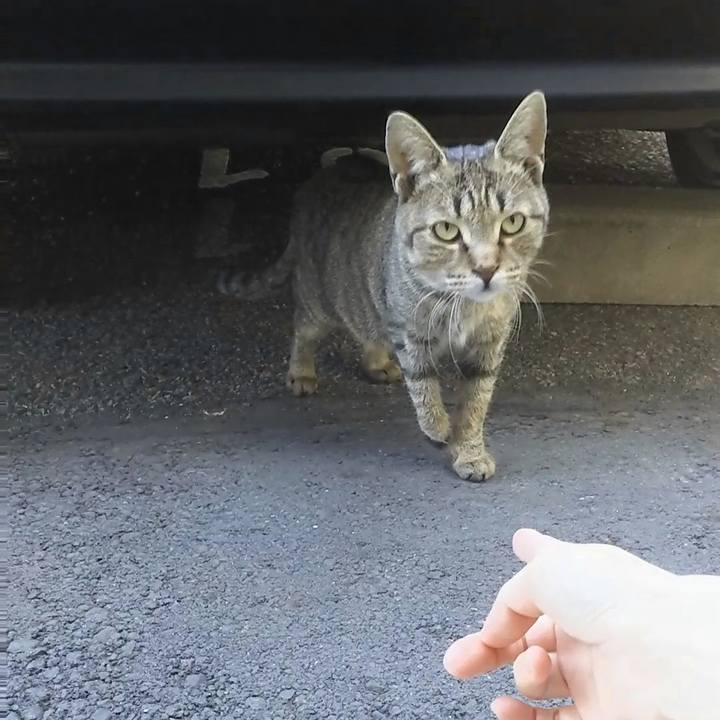 7b9c3a4e 3195 48ef baa5 53d21652d90c 1512280600999