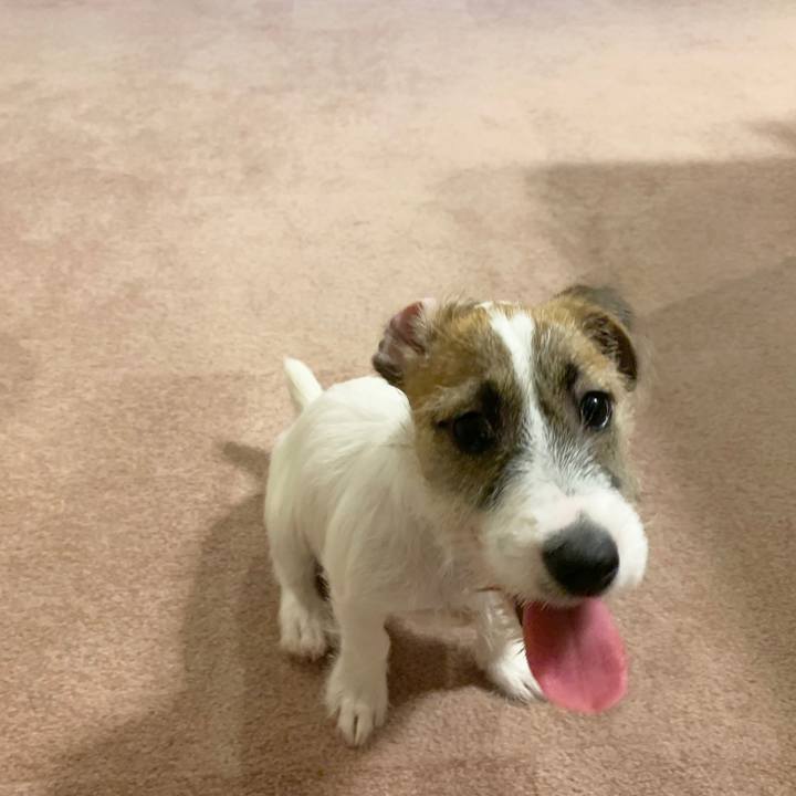 7b9c8c4e 169b 4c98 865e fb5a8cb0f6cf 1561544351409