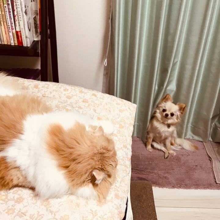 7b9c9843 a4ad 4f6c af50 24f85d1a8808 1581590450020