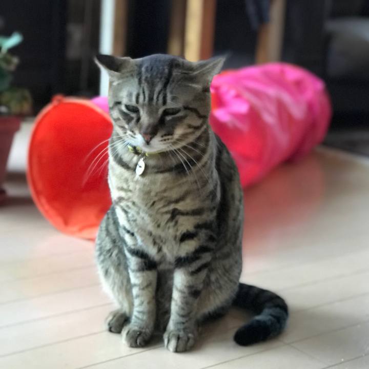 7b9cce1a 0838 4077 aa65 06c10ccd15c0 1518576541093