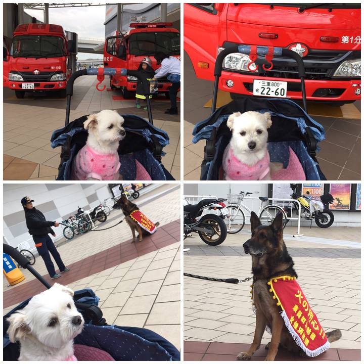 7b9cd982 c4fb 43e4 bc48 062acb0bab9e 1549699120507