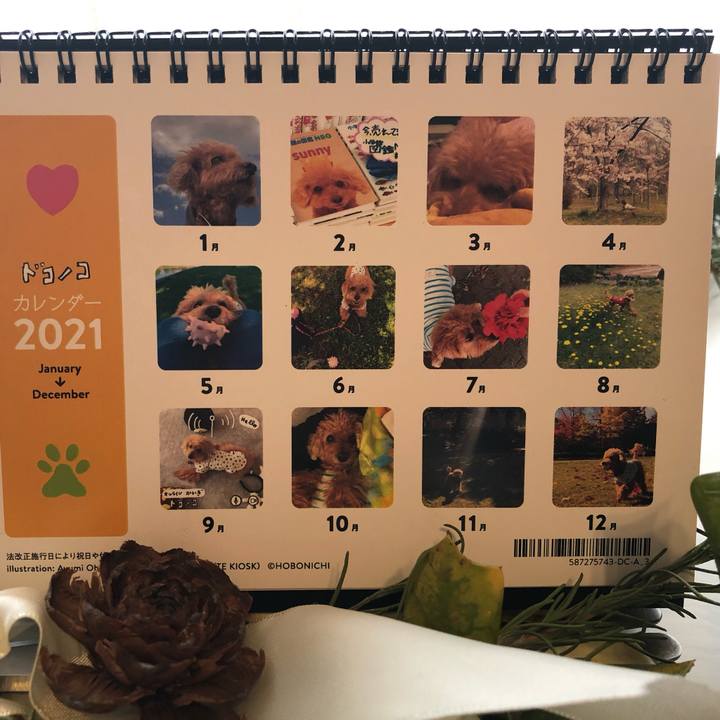 7b9cedeb 294b 45fd a896 f35a0ab55666 1607913064435