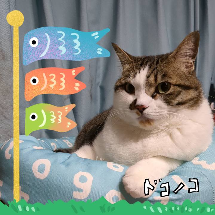 7b9cf500 6437 4c3c 87c3 bbd1d9d6c6a6 1714905659633