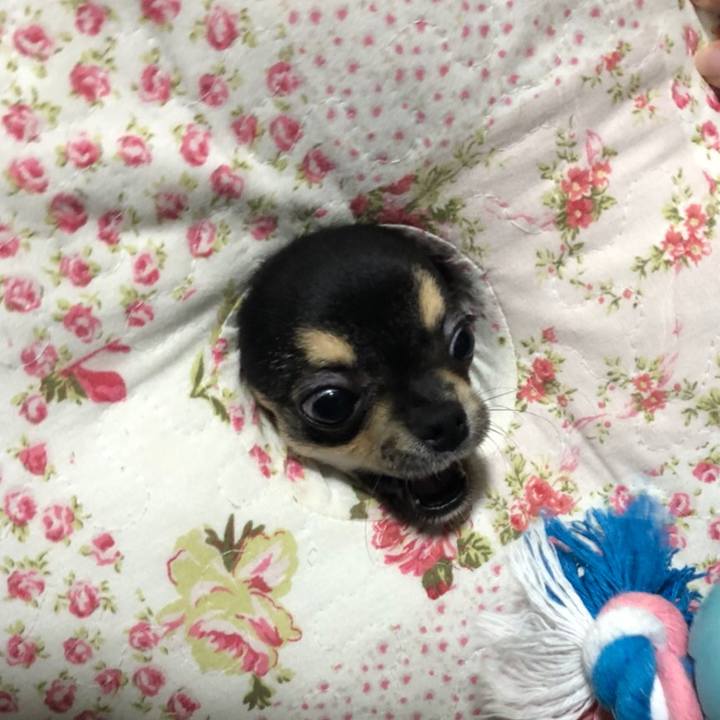 7b9d151d ebe1 4bc4 a1fc dbfe1bc2f59f 1540896350446