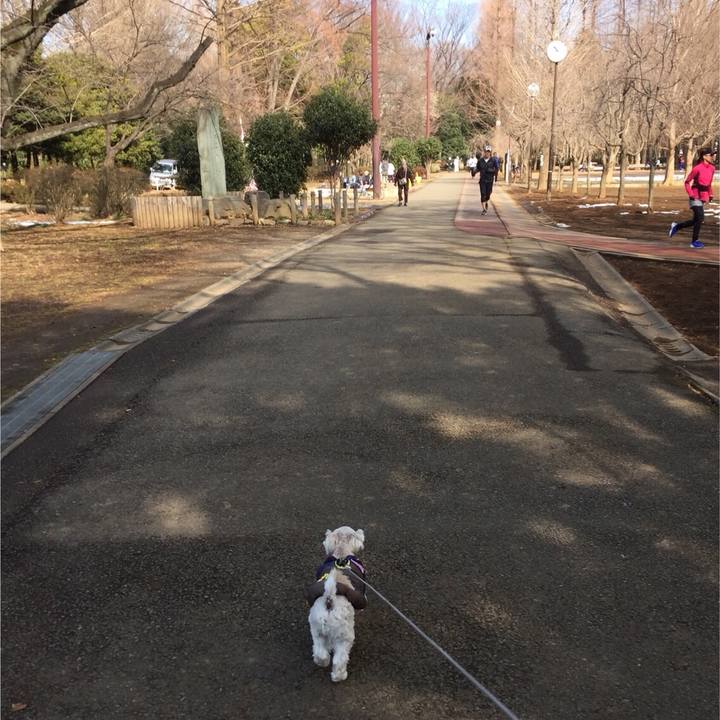 7b9d42c4 15ed 48bf ab6b 099e4eb92aa7 1517722047695