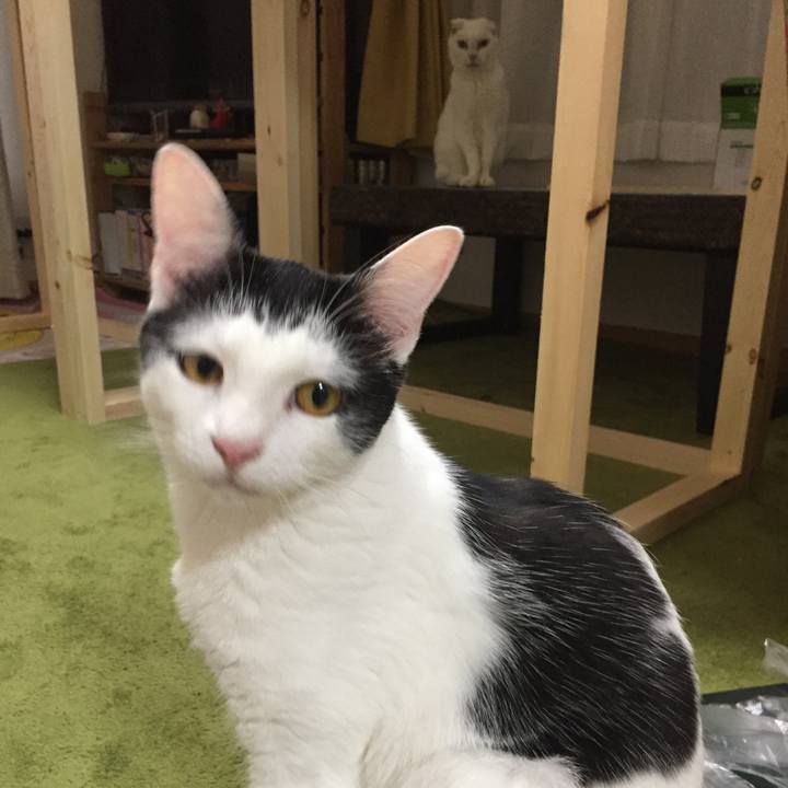 7b9d4958 c019 43b6 a803 3f2a4a062f8f 1524310768829